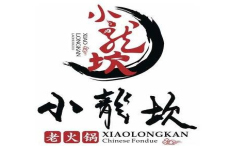 小龍坎火鍋燃?xì)忮仩t廠家案例